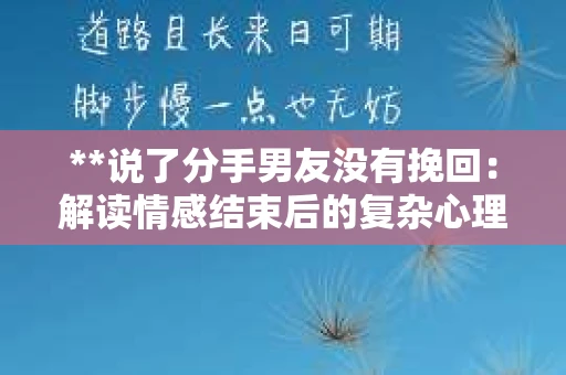 **说了分手男友没有挽回：解读情感结束后的复杂心理与现实**