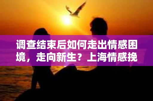 调查结束后如何走出情感困境,走向新生?上海情感挽回婚姻公司给出的专业建议 调查结束后如何走出情感困境,走向新生?上海情感挽回婚姻公司给出的专业建议