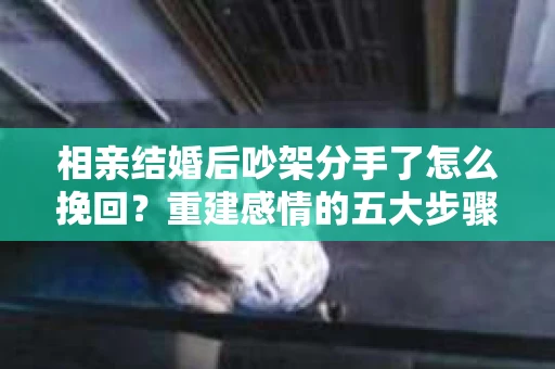 相亲结婚后吵架分手了怎么挽回？重建感情的五大步骤