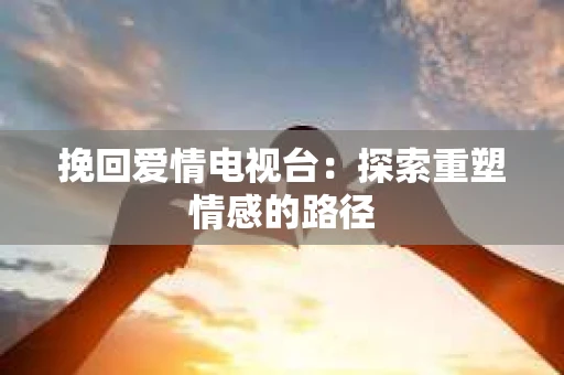 挽回爱情电视台：探索重塑情感的路径