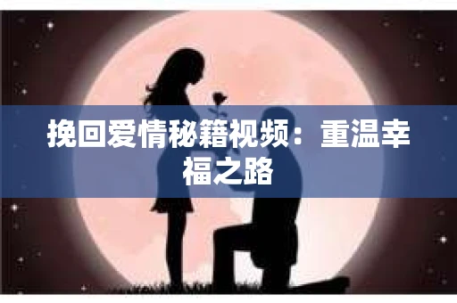 挽回爱情秘籍视频：重温幸福之路