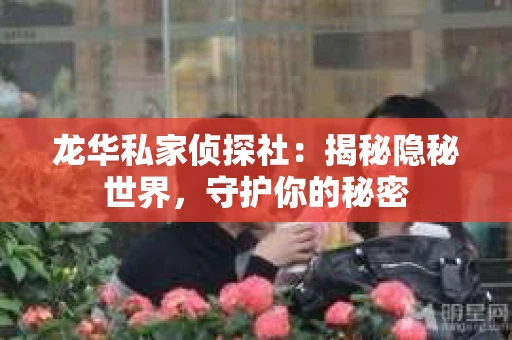 龙华私家侦探社：揭秘隐秘世界，守护你的秘密