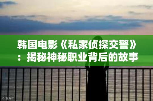 韩国电影《私家侦探交警》：揭秘神秘职业背后的故事