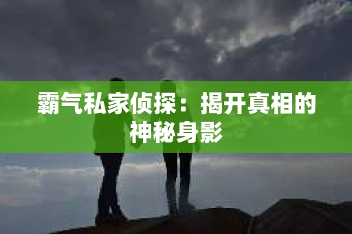 霸气私家侦探：揭开真相的神秘身影