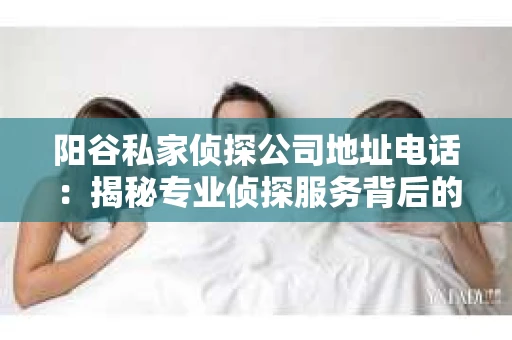 阳谷私家侦探公司地址电话：揭秘专业侦探服务背后的故事