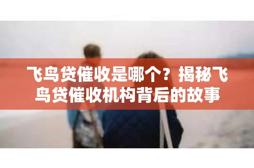 飞鸟贷催收是哪个？揭秘飞鸟贷催收机构背后的故事