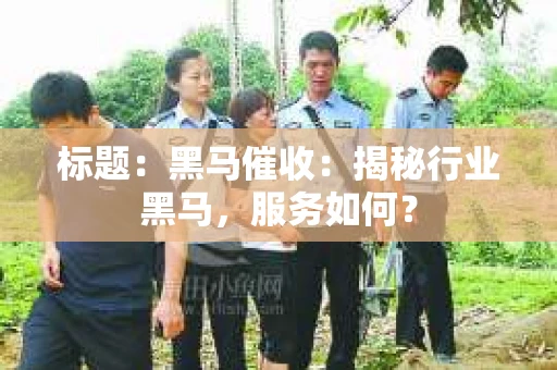 标题：黑马催收：揭秘行业黑马，服务如何？
