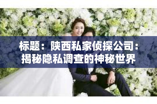 标题：陕西私家侦探公司：揭秘隐私调查的神秘世界