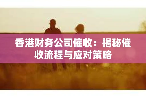 香港财务公司催收：揭秘催收流程与应对策略