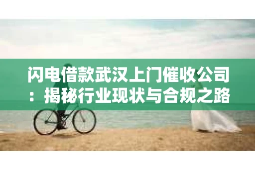 闪电借款武汉上门催收公司：揭秘行业现状与合规之路