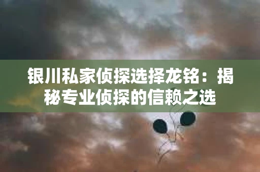 银川私家侦探选择龙铭：揭秘专业侦探的信赖之选