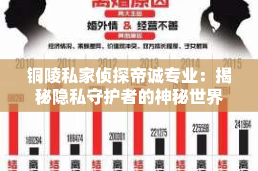 铜陵私家侦探帝诚专业：揭秘隐私守护者的神秘世界