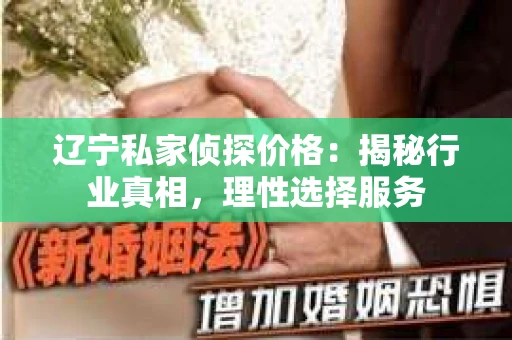 辽宁私家侦探价格：揭秘行业真相，理性选择服务