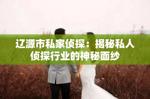 辽源市私家侦探：揭秘私人侦探行业的神秘面纱