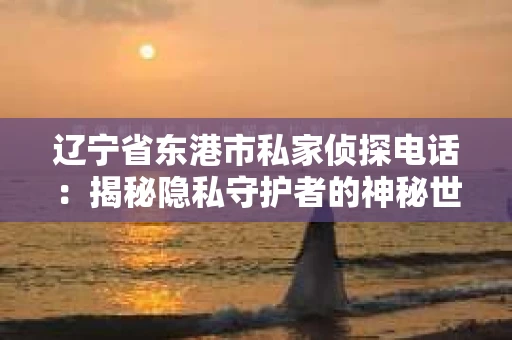 辽宁省东港市私家侦探电话：揭秘隐私守护者的神秘世界