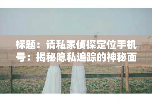 标题：请私家侦探定位手机号：揭秘隐私追踪的神秘面纱