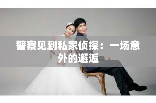 警察见到私家侦探：一场意外的邂逅