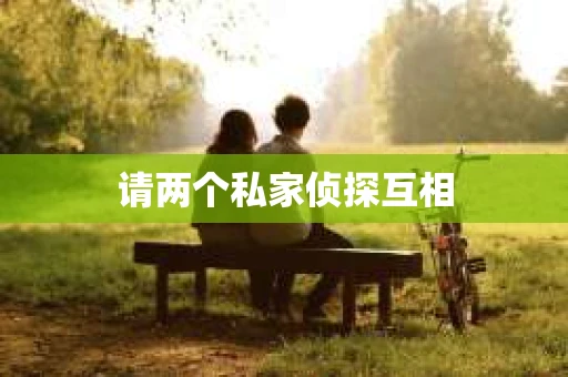 请两个私家侦探互相