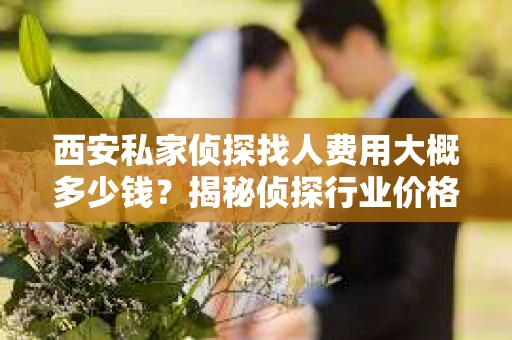 西安私家侦探找人费用大概多少钱？揭秘侦探行业价格之谜
