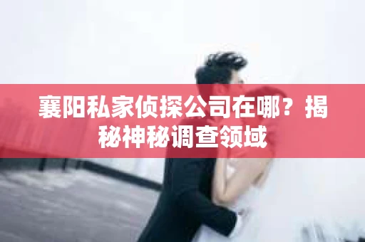 襄阳私家侦探公司在哪？揭秘神秘调查领域