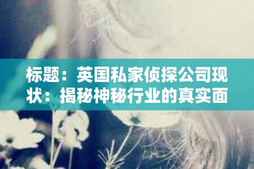 标题：英国私家侦探公司现状：揭秘神秘行业的真实面貌