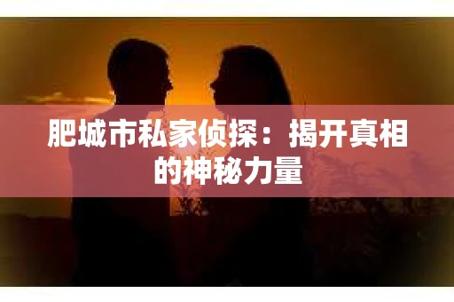 肥城市私家侦探：揭开真相的神秘力量
