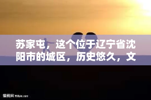 苏家屯，这个位于辽宁省沈阳市的城区，历史悠久，文化底蕴深厚。近年来，随着社会的发展，人们对于私家侦探的需求也逐渐增加。那么，苏家屯有私家侦探吗？今天，我们就来聊聊这个话题。