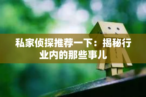 私家侦探推荐一下:揭秘行业内的那些事儿 私家侦探推荐一下:揭秘行业内的那些事儿