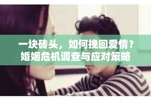 一块砖头,如何挽回爱情?婚姻危机调查与应对策略 一块砖头,如何挽回爱情?婚姻危机调查与应对策略