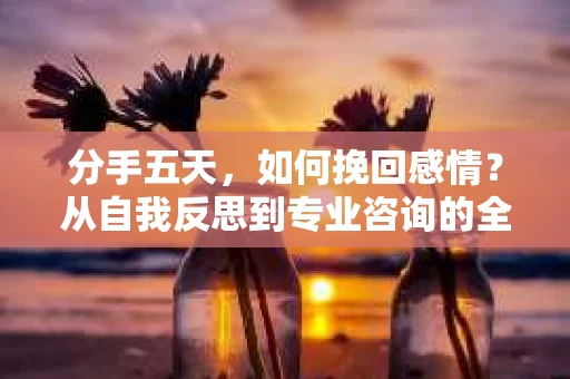 分手五天,如何挽回感情?从自我反思到专业咨询的全面解决方案 分手五天,如何挽回感情?从自我反思到专业咨询的全面解决方案