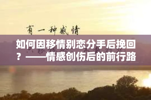 如何因移情别恋分手后挽回？——情感创伤后的前行路线图