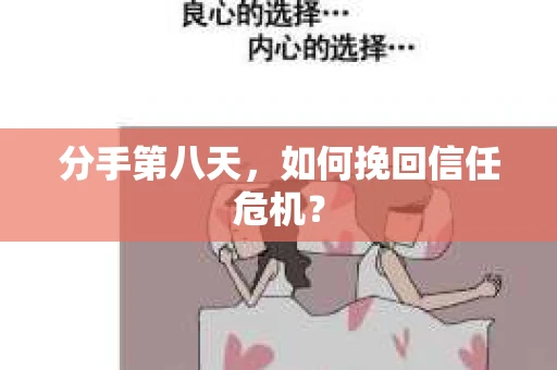 分手第八天，如何挽回信任危机？